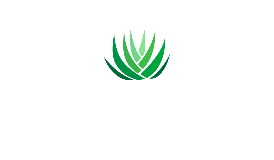 cucuidate